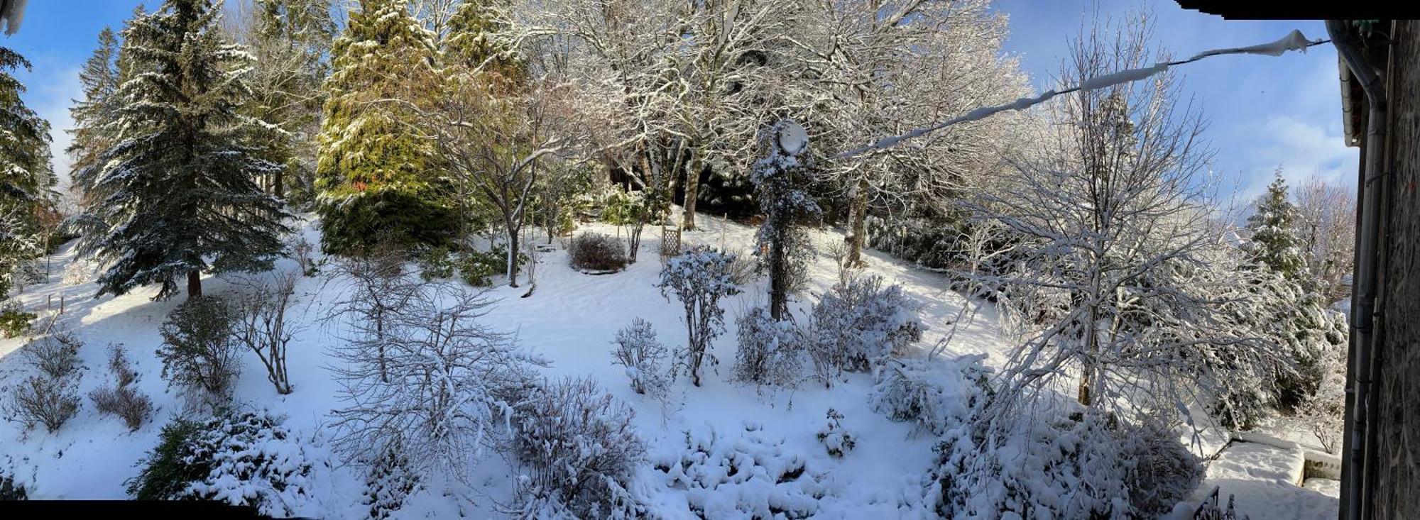 La bonne hôtesse Chambon-sur-Lac Quarto foto